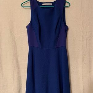 Blue sleeveless dress